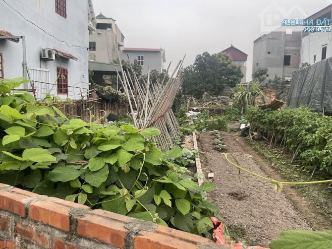 Cần Bán  68,2m2 Thôn Đồng, Nguyên Khê, Đông Anh. Đường rộng 4,5m thông thoáng. - 2