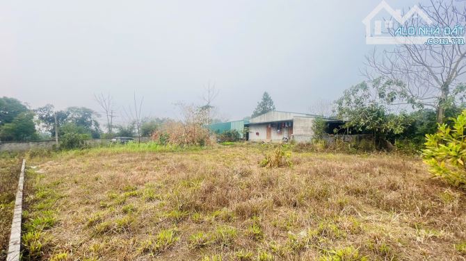 CHÍNH CHỦ BÁN ĐẤT HÒA SƠN, LƯƠNG SƠN HÒA BÌNH 1200M² MẶT TIỀN LỚN - 2