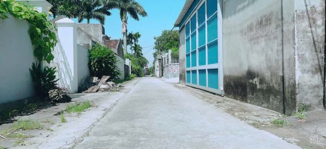 110m2 lô đất Đa Ngư , Tân Trào sát khu công nghiệp - 2