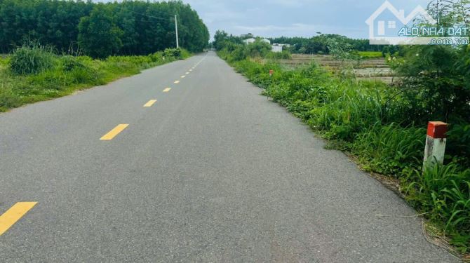 BÁN ĐẤT XÃ PHƯỚC HẢI - TP HỒ CHÍ MINH; VIEW NÚI MINH ĐẠM - CÁCH BIỂN 4KM  📐3 LÔ LIÊN KỀ - 2