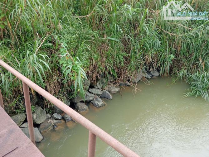 2.5 sào phường 3 Bảo Lộc. đất bằng giáp suối - 2