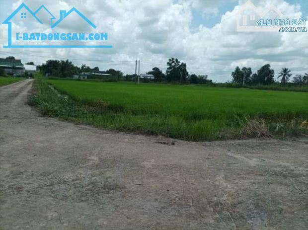 đất thổ chính chủ cần bán - DT 1885M - thổ 300M - Tân Trụ Long an - 2