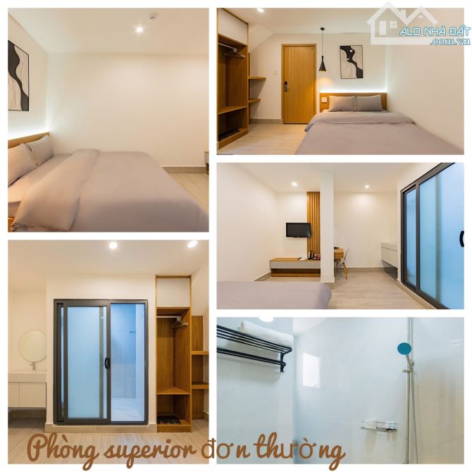 💎 Cơ Hội Đầu Tư: Khách Sạn/CHDV Trung Tâm Đà Lạt – Sổ Riêng, Khách Ổn Định - 2
