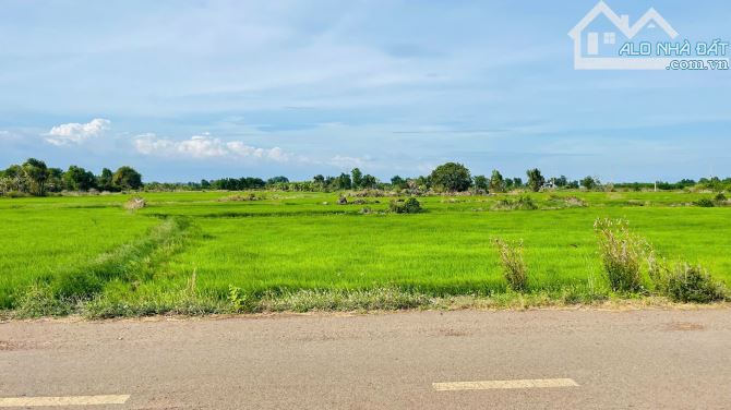 BÁN ĐẤT PHƯỚC LONG THỌ ĐẤT ĐỎ BÀ RỊA VŨNG TÀU - 2