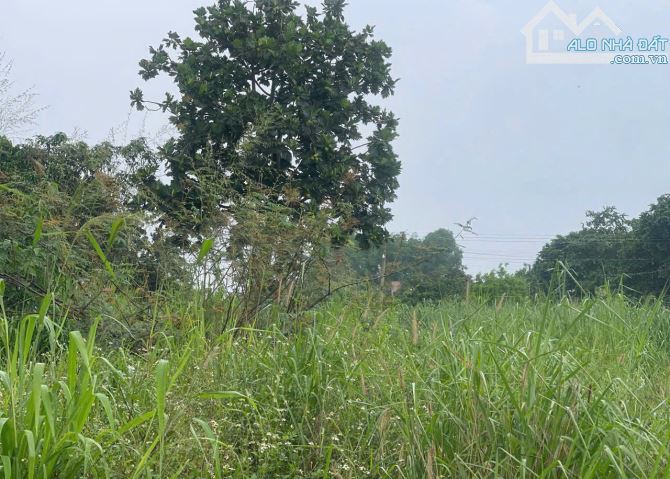 D276  🆘 HẠ 2ty CÒN 9ty5 GIÁ CŨ 11ty5 💥 BÁN 1300M2 ĐẤT FULL THỔ CƯ 3 MẶT TIỀN ĐƯỜNG 20 - 2