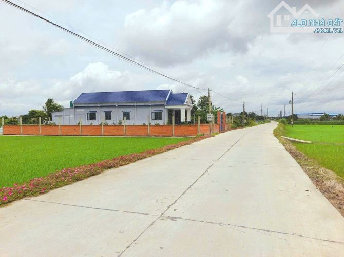 Chỉ 1.6 tỷ sở hữu 1082 m2 đất thổ cư đường xe tải nguyễn văn vinh - 2