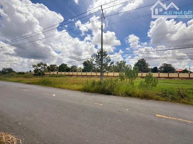 Bán đất 5x42m (199m2) mặt tiền nhựa Bàu Sen xã Hòa Khánh Đông, Đức Hòa, Long An giá 2.3 tỷ - 2