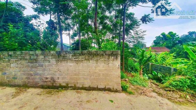 Chính chủ gửi bán DT 351m  đất tại Xã Trần Phú Chương Mỹ - 2