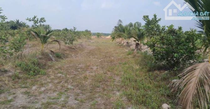Bán đất tặng nhà cấp 4, 2100m2 view núi bà , giá 400 triệu hết đất, đường xe hơi - 2