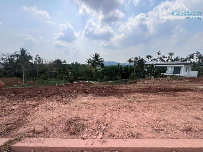 ĐẤT MẶT TIỀN ĐẠI LỘ ĐÔNG TÂY THÍCH HỢP KINH DOANH ĐA NGHÀNH NGHỀ - 2