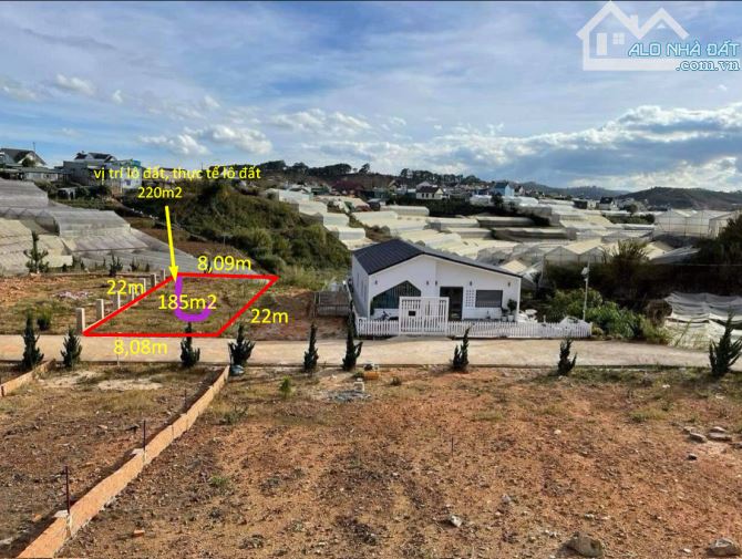🏡 BÁN LÔ ĐẤT ĐẸP – LẠC DƯƠNG, LÂM ĐỒNG 🌲 VIEW ĐẸP GIÁ ĐẦU TƯ - 2