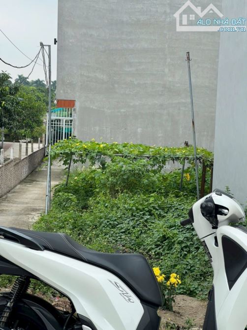 🔥BÁN ĐẤT ĐÔNG DƯ - GIA LÂM - 31M - GIÁ HƠN 3 TỶ - 20M RA Ô TÔ TRÁNH - 2