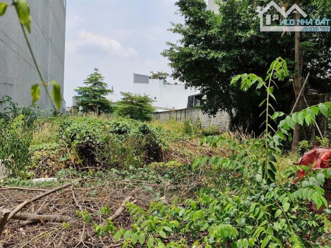 BÁN ĐẤT HIỆP BÌNH PHƯỚC – 1127M², NGANG 16M -  XÂY 2 HẦM VÀ 5 TẦNG NỔI - 2
