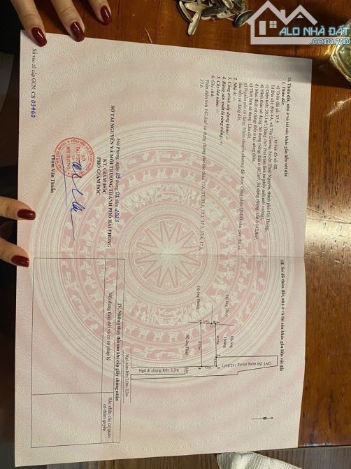 Chị chủ xynh gái gử.i bán lô đất rẻ đẹp tại Tân Dương - p. Thủy Nguyên 🎉🎉  ✅ Diện tích 6 - 3