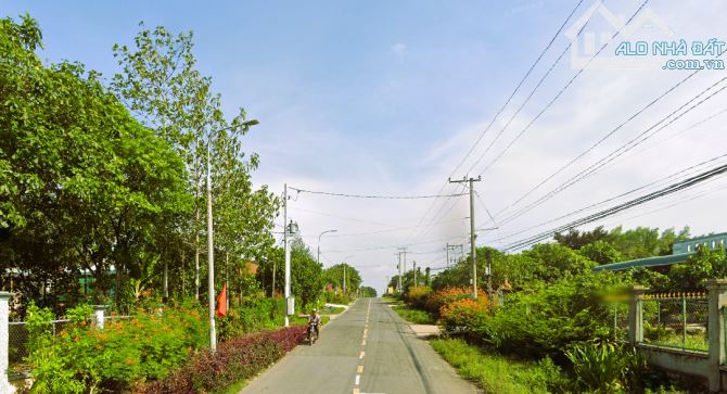 TÌM ĐÂU RA LÔ ĐẤT VƯỜN KẾ BÊN NHÀ MÁY THĂNG LONG XANH 1000m2 (14.5mx67m) CHỈ 395 TRIỆU - 3