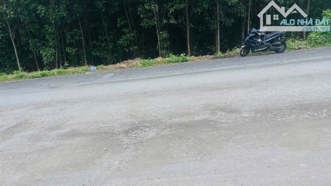 Mặt tiền Lộc An - Hồ Lồ Xã Đất Đỏ .BRVT ĐƯỜNG ĐANG MỞ RỘNG ĐI THẲNG RA BIỂN LỘC AN - 3