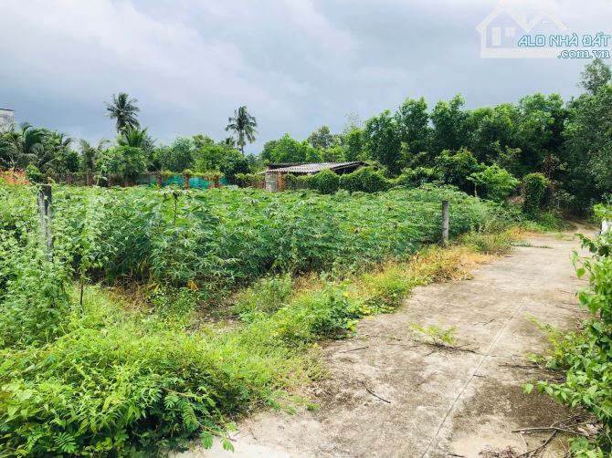 Đất Thổ Cư Ngay QL 55 dt: 7,6x35m (285m2) Tân Xuân Hàm Tân  - Gía rẻ: 550 triệu - 3