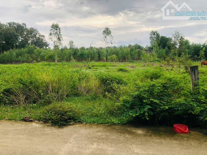 Đất Xào Thổ Cư dt: 20x45m (1075m2) Ngay QL55 Tân Hà Hàm Tân Gía siêu rẻ: 1 tỷ 100 triệu - 3