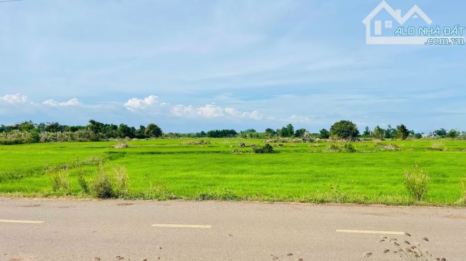 BÁN ĐẤT PHƯỚC LONG THỌ ĐẤT ĐỎ BÀ RỊA VŨNG TÀU - 3