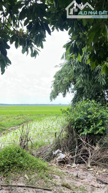 Đất Hồ Tràm , cách biển 6km chỉ 2.3 tỷ - 3