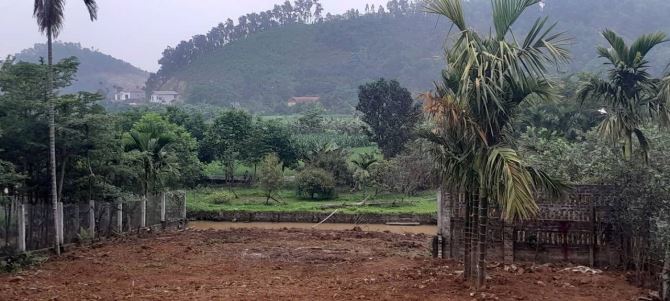 Bán lô đất hơn 1000m2, trong đất có ao, phía sau view cách đồng tại Yên Bình, giá hơn 5 tỷ - 3