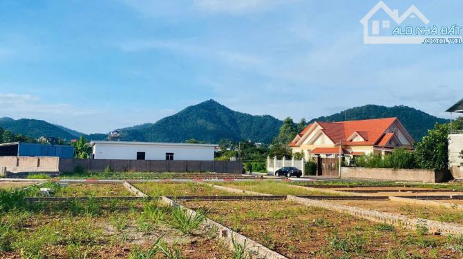 Đất Thổ Cư Minh Phú Sóc Sơn – Đường Nhựa Rộng, Dân Cư Hiện Hữu, Xây Ở Ngay - 3