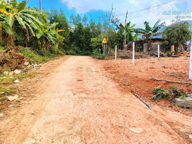 Bán đất Khánh Đông giá rẻ mặt đường bê tông liên thôn liên xóm - 3