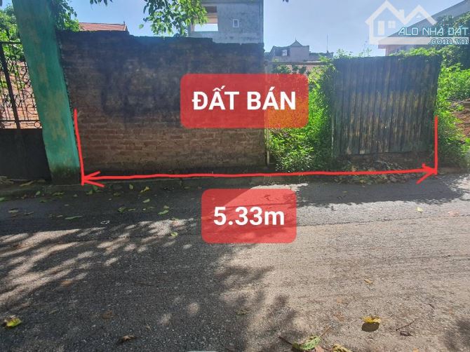 Bán 55m2 Lệ Chi - Gia Lâm, đường ô tô tránh, kinh doanh - 3