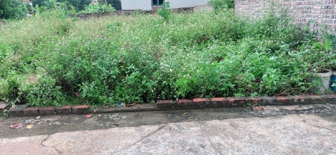 💥💥BÁN ĐẤT FULL THỔ CƯ - HIỀN NINH – SÓC SƠN💥💥 - 4