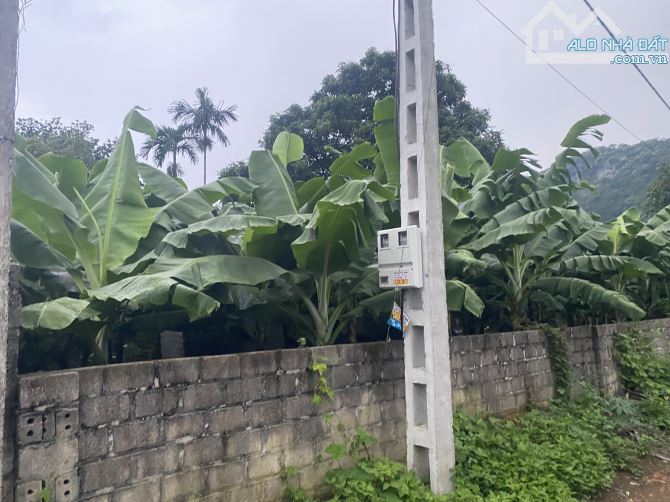 4800m đất nông trường tại liên sơn hoà bình giá rẻ chỉ hơn 1 triệu/m - 4