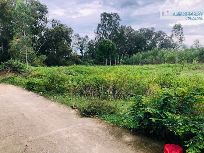 Đất Xào Thổ Cư dt: 20x45m (1075m2) Ngay QL55 Tân Hà Hàm Tân Gía siêu rẻ: 1 tỷ 100 triệu - 4