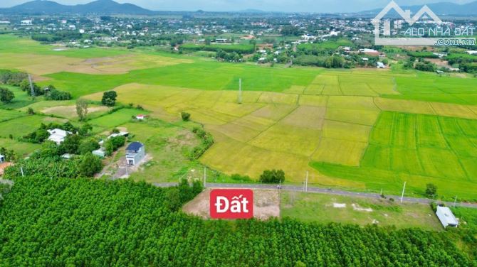 BÁN ĐẤT XÃ PHƯỚC HẢI - TP HỒ CHÍ MINH; VIEW NÚI MINH ĐẠM - CÁCH BIỂN 4KM  📐3 LÔ LIÊN KỀ - 4