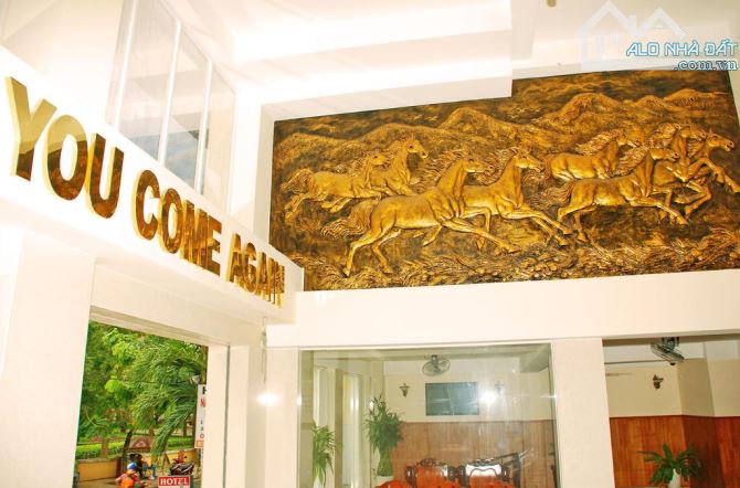 Bán khách sạn đường Nguyễn Trãi, P.Nguyễn Cư Trinh, Quận 1, 8.05x20m, 19 Phòng gía 42 tỷ - 4
