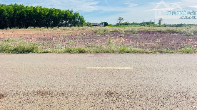 BÁN ĐẤT PHƯỚC LONG THỌ ĐẤT ĐỎ BÀ RỊA VŨNG TÀU - 4