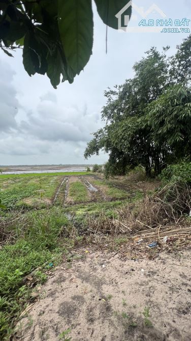 Đất Hồ Tràm , cách biển 6km chỉ 2.3 tỷ - 4
