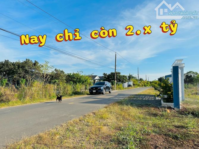Bán 600M2 ĐƯỜNG NGUYỄN HUỆ - ĐỐI DIỆN KHU NHÀ VƯỜN HIỆN HỮU PLT XÃ ĐẤT ĐỎ.BRVT - 4