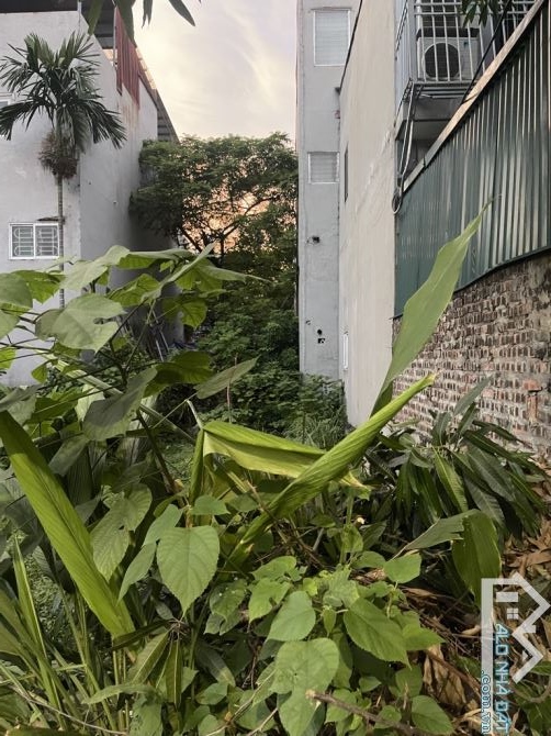 thụy phương phân lô  ô tô  tránh mặt ngõ thông kinh doanh oto vào đất - 4