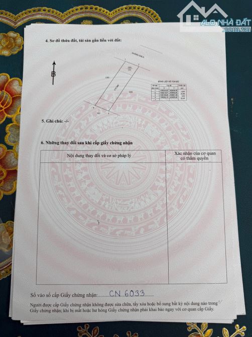 🔥Chỉ 8xx tr cô chú anh chị đã sở hữu ngay 1 lô đất đẹp ạ Mặt Tiền Đường Nhựa 8m - 5