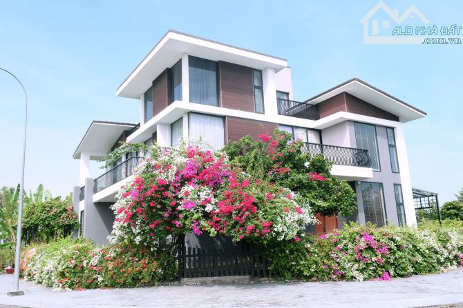 Giảm sock, view sông 10x20m, 5x25m giá từ 25tr/m2 bán gấp Thảo Nguyễn - 5