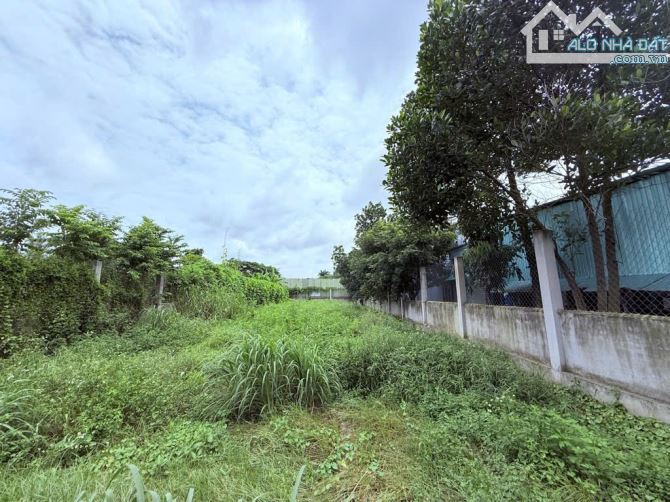 CỦ CHI bán lô đất rộng 562m2 (11,7 x 48) sẵn thổ cư đường nhựa 8m gần QL22 giá 9,8tỷ. - 5