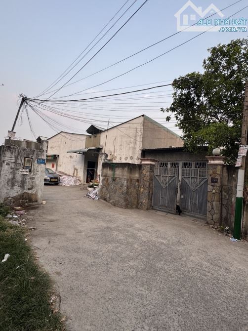 Bán nhà đất 960m² có 20 phòng trọ, thu nhập 50 triệu/tháng - 7