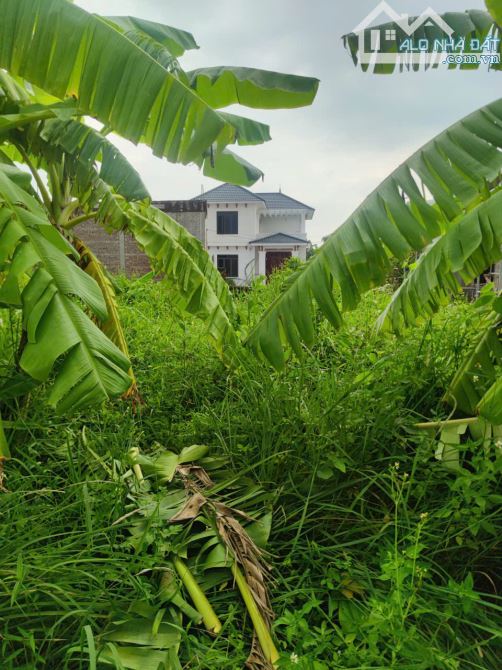 Bán lô đất đẹp tại Hoà Nghĩa, Dương Kinh. ngõ oto đỗ cửa giá chỉ 7xx triệu - 9