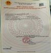Bán đất Núi Đối - Kiến Thụy - Hải Phòng