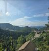 ĐẤT HOÀNG HOA THÁM 748M2 NỞ HẬU VIEW THUNG LŨNG RỪNG THÔNG SĂN MÂY