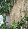 🌿 BÁN ĐẤT CẨM NAM 10 - Song Song TRẦN VĂN TRÀ GẦN CÔNG VIÊN – TRƯỜNG CẤP 2