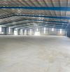 Cho thuê kho dựng mới theo yêu cầu , tổng 4000m2, kho 2500m2, pccc đầy đủ