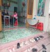 Chủ cần tiền bán gấp căn nhà cấp 4,thuộc khu quân đoàn 4,phường tân phong,diện tích 147m2