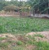 BÁN ĐẤT BIỆT THỰ FULL THỔ CƯ MẶT TIỀN ĐƯỜNG NGUYỄN VIẾT XUÂN GẦN SÂN BAY QT CẦN THƠ