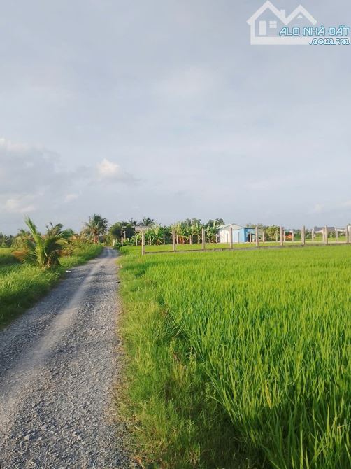 CHỦ GIẢM NGAY 💥 200TRIỆU 💥ĐẤT VƯỜN 970m² TIẾP GIÁP MẶT TIỀN ĐƯỜNG - 3