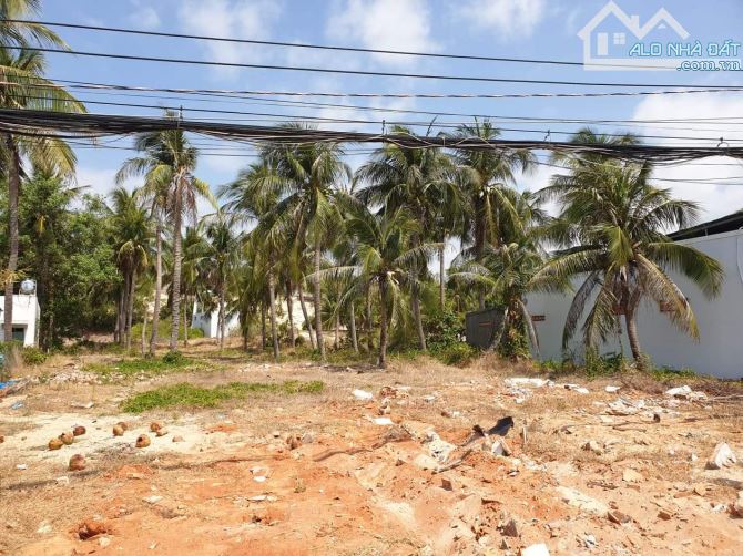 Bán 2500m2 đất cạnh biển mặt tiền Nguyễn Đình Chiểu, Hàm Tiến khu phố Tây giá tốt 10tr/m2 - 1